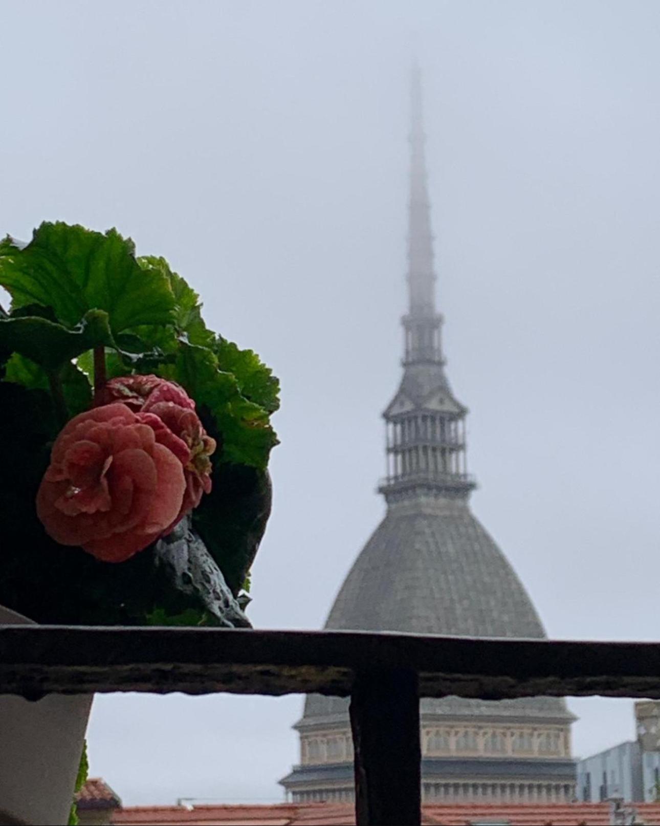Apartment Le Finestre Sulla Mole